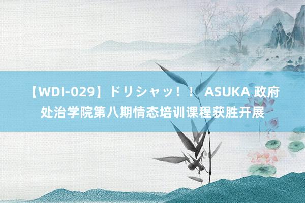 【WDI-029】ドリシャッ！！ ASUKA 政府处治学院第八期情态培训课程获胜开展