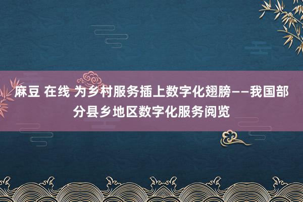 麻豆 在线 为乡村服务插上数字化翅膀——我国部分县乡地区数字化服务阅览