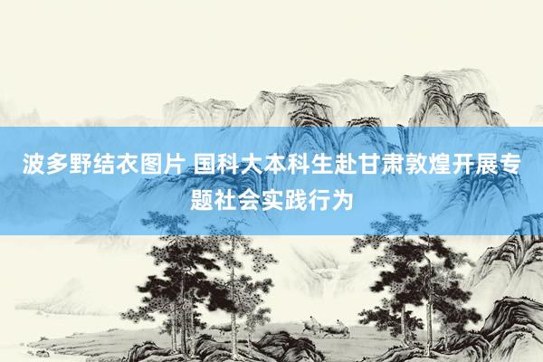 波多野结衣图片 国科大本科生赴甘肃敦煌开展专题社会实践行为