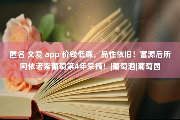 匿名 文爱 app 价钱低廉，品性依旧！富源后所阿依诺紫葡萄第4年采摘！|葡萄酒|葡萄园