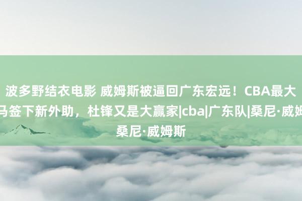 波多野结衣电影 威姆斯被逼回广东宏远！CBA最大黑马签下新外助，杜锋又是大赢家|cba|广东队|桑尼·威姆斯