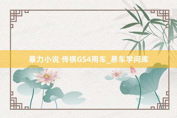 暴力小说 传祺GS4用车_易车学问库