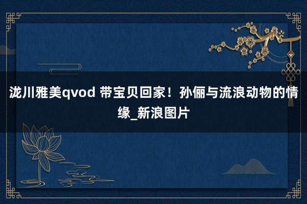 泷川雅美qvod 带宝贝回家！孙俪与流浪动物的情缘_新浪图片