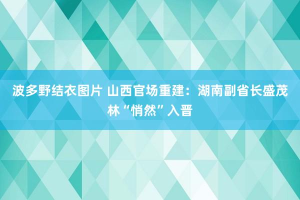 波多野结衣图片 山西官场重建：湖南副省长盛茂林“悄然”入晋