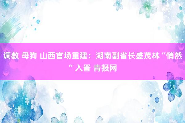 调教 母狗 山西官场重建：湖南副省长盛茂林“悄然”入晋 青报网