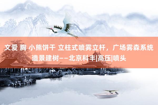 文爱 胸 小熊饼干 立柱式喷雾立杆，广场雾森系统造景建树——北京科丰|高压|喷头