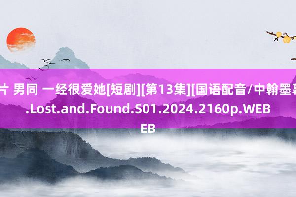 a片 男同 一经很爱她[短剧][第13集][国语配音/中翰墨幕].Lost.and.Found.S01.2024.2160p.WEB