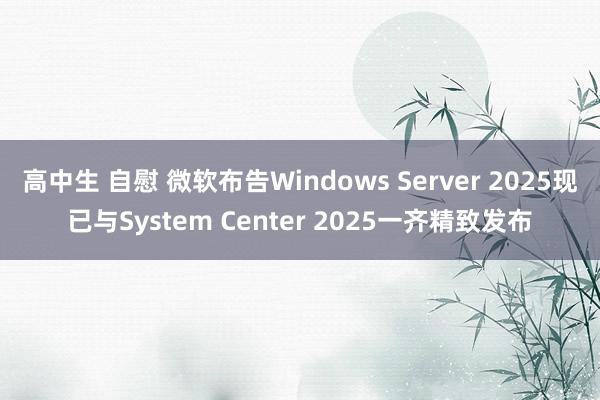 高中生 自慰 微软布告Windows Server 2025现已与System Center 2025一齐精致发布