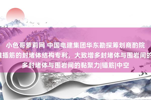 小色哥萝莉网 中国电建集团华东勘探筹划商酌院有限公司获得三维插筋的封堵体结构专利，大致增多封堵体与围岩间的黏聚力|锚筋|中空