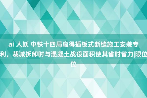 ai 人妖 中铁十四局赢得插板式断缝施工安装专利，裁减拆卸时与混凝土战役面积使其省时省力|限位