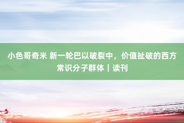 小色哥奇米 新一轮巴以破裂中，价值扯破的西方常识分子群体｜读刊