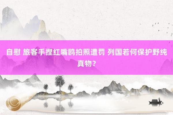 自慰 旅客手捏红嘴鸥拍照遭罚 列国若何保护野纯真物？