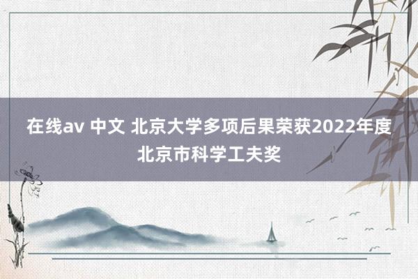 在线av 中文 北京大学多项后果荣获2022年度北京市科学工夫奖